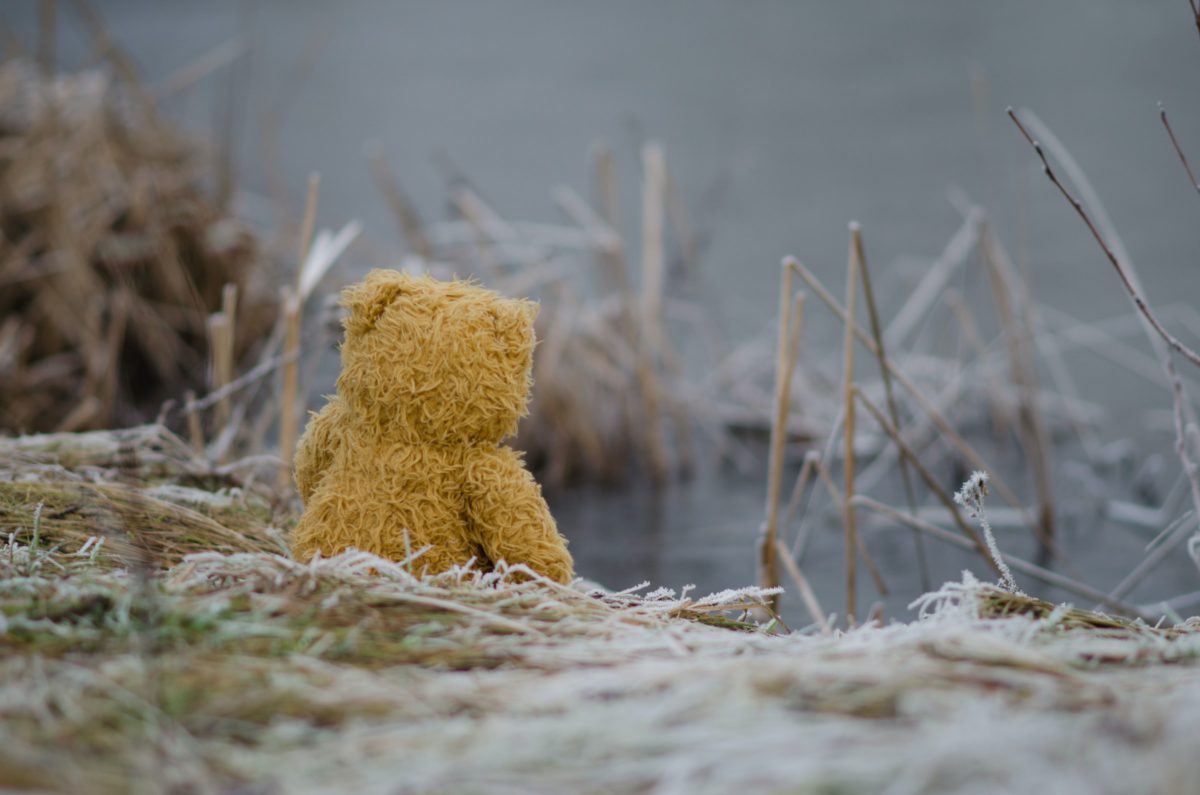 Representative photo of a toy bear set against a gloomy backdrop | Photo by Kasia on Unsplash